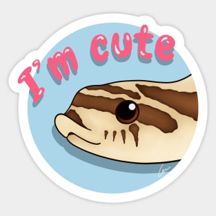 Cute Normal / Wildtype Western Hognose Snake Sticker